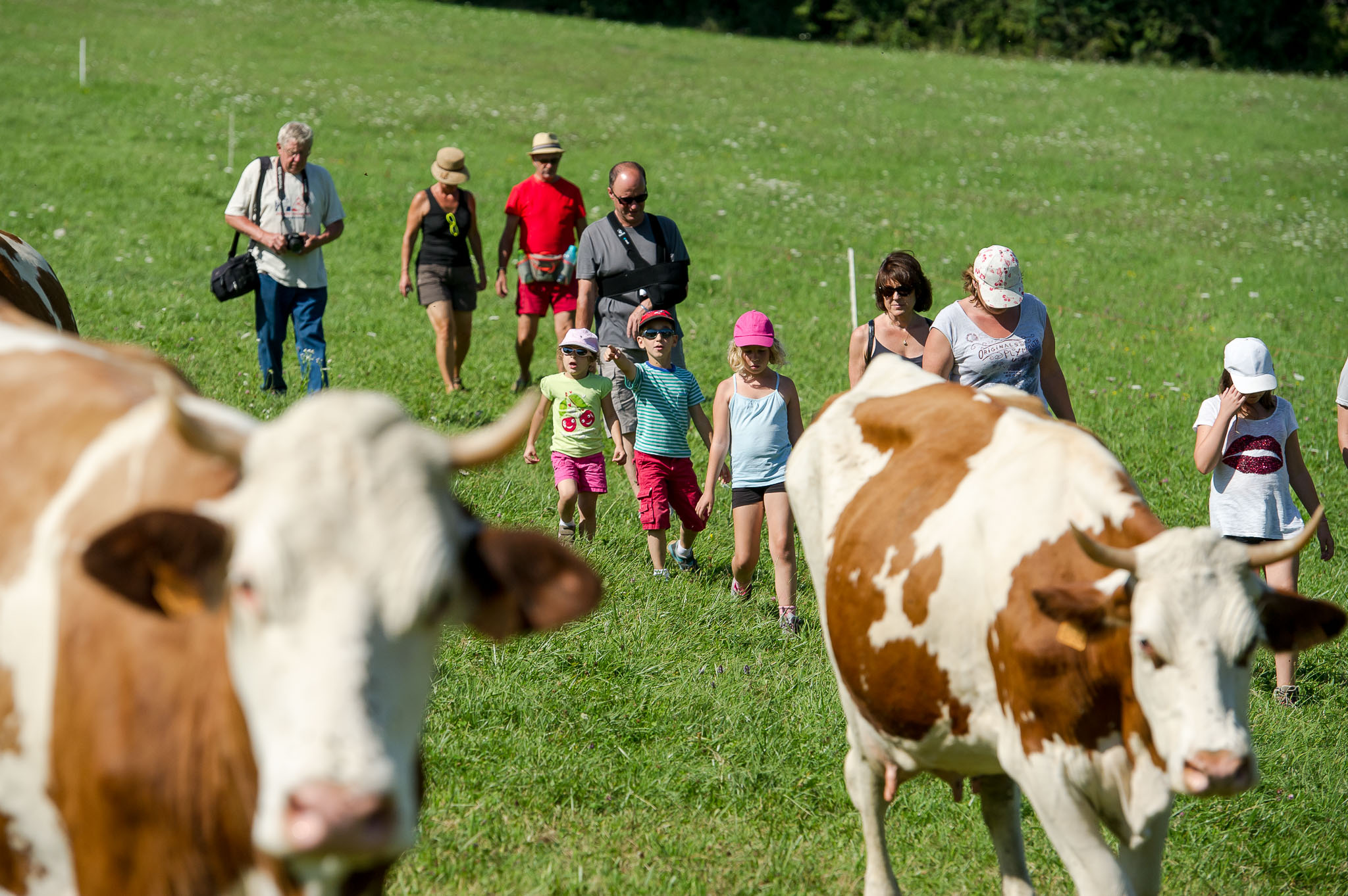 Les Fermes à Visiter Dans Lain En Haut Bugey Montagnes Du - 